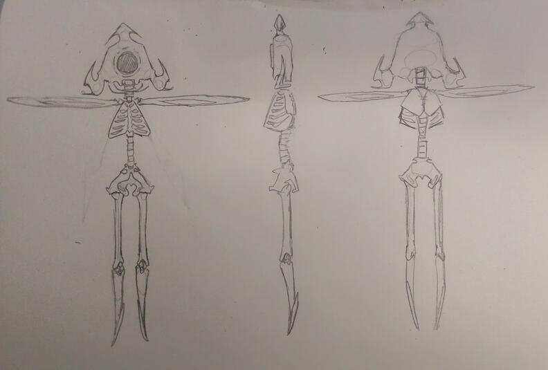 Anatomical Study of a Character.